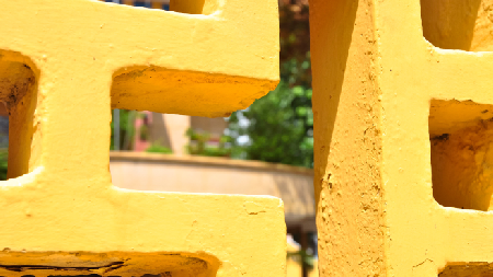 Delta del Río Mekong