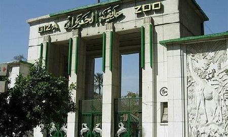 Giza zoo