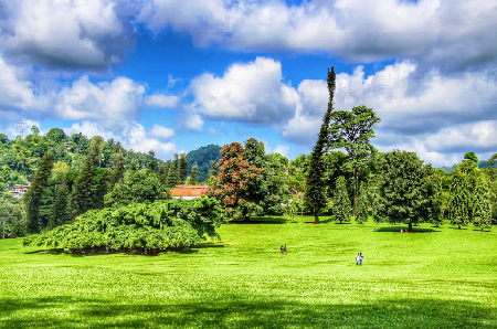 Maha Nuwara 
