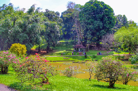 Jardín Botánico de Peradeniya