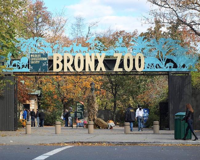 United States of America New York Bronx Zoo Bronx Zoo New York - New York - United States of America