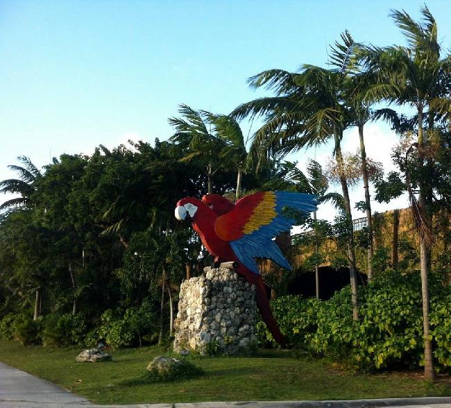 Estados Unidos de América Miami  Parrot Jungle and Gardens Parrot Jungle and Gardens Miami - Miami  - Estados Unidos de América