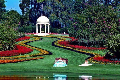 Estados Unidos de América Orlando  Jardines del Ciprés Jardines del Ciprés Orlando - Orlando  - Estados Unidos de América