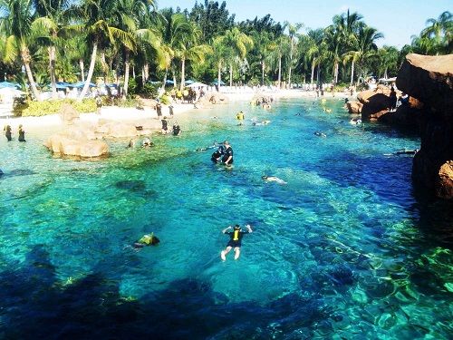 Estados Unidos de América Orlando  Descubrir el Mundo Bajo el Agua de Orlando Descubrir el Mundo Bajo el Agua de Orlando Orange County - Orlando  - Estados Unidos de América