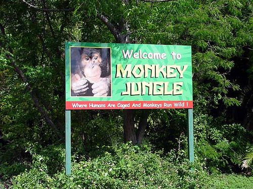 Estados Unidos de América Miami  Monkey Jungle Monkey Jungle Miami - Miami  - Estados Unidos de América