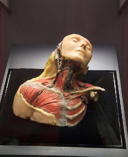 Museo de Anatomía