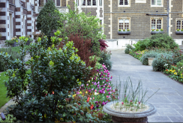 United Kingdom London  Middle Temple Gardens Middle Temple Gardens London - London  - United Kingdom