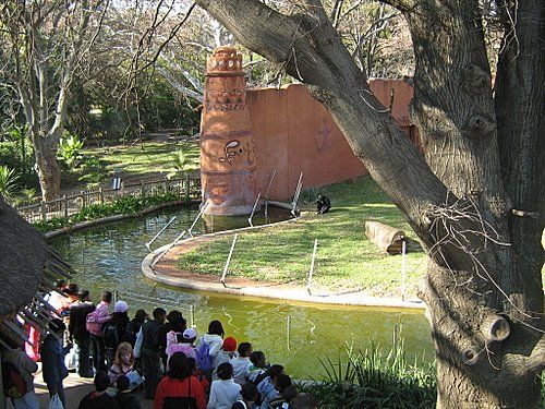 South Africa Johannesburg Johannesburg Zoo Johannesburg Zoo Johannesburg - Johannesburg - South Africa
