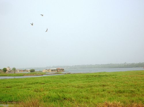 Benin Ouidah Aheme Lake Aheme Lake Benin - Ouidah - Benin