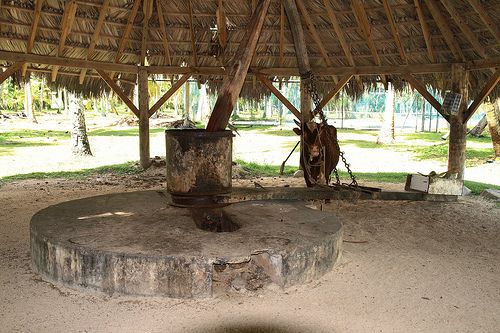 Seychelles La Digue  Molino Molino La Digue - La Digue  - Seychelles