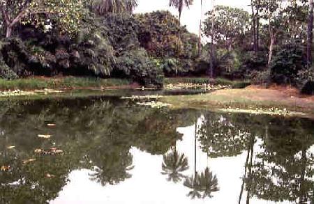 Banjul