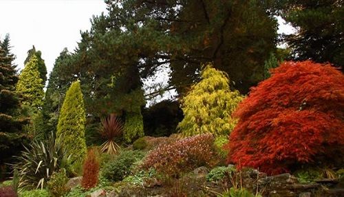 El Reino Unido Manchester  Jardín Botánico Fletcher Moss Jardín Botánico Fletcher Moss Manchester - Manchester  - El Reino Unido