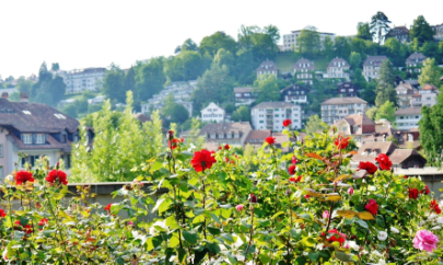 Suiza Bern Jardín de Rosas Jardín de Rosas Suiza - Bern - Suiza
