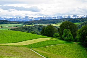 Bern