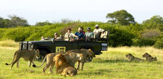 Sudáfrica Kruger National Park Reserva de caza Mala Mala Reserva de caza Mala Mala Kruger National Park - Kruger National Park - Sudáfrica