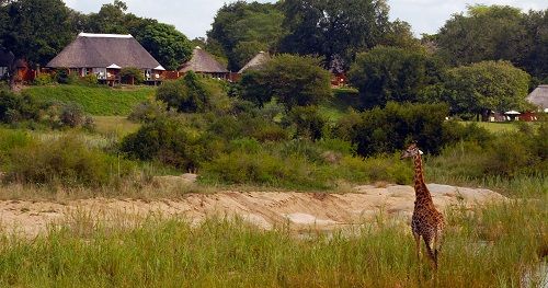 Sudáfrica Kruger National Park Reserva de caza Mala Mala Reserva de caza Mala Mala Kruger National Park - Kruger National Park - Sudáfrica