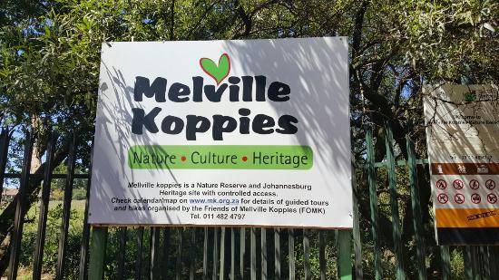 Sudáfrica Johannesburgo Melville Koppies Melville Koppies Johannesburg - Johannesburgo - Sudáfrica