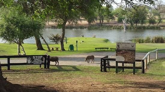 Sudáfrica Kruger National Park Club de golf Skukuza Club de golf Skukuza Kruger National Park - Kruger National Park - Sudáfrica