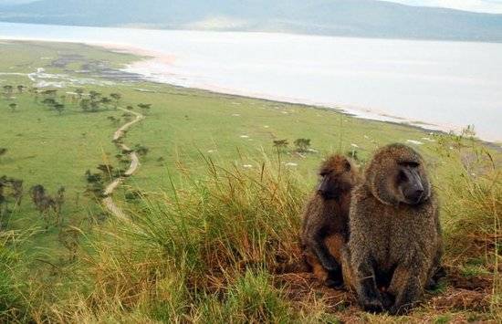 Kenia Nakuru  Mirador del acantilado de babuino Mirador del acantilado de babuino Rift Valley - Nakuru  - Kenia