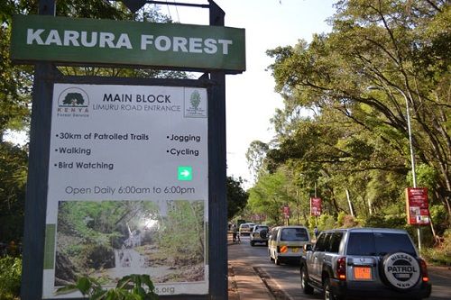 Kenia Nairobi  Bosque Karura Bosque Karura Bosque Karura - Nairobi  - Kenia