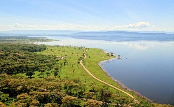 Kenia Nakuru  SISTEMA DE LAGOS DE KENIA EN EL GRAN VALLE DEL RIFT SISTEMA DE LAGOS DE KENIA EN EL GRAN VALLE DEL RIFT Rift Valley - Nakuru  - Kenia