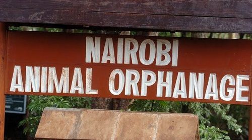 Kenia Nairobi  Orfanato de animales de Nairobi Orfanato de animales de Nairobi Nairobi - Nairobi  - Kenia