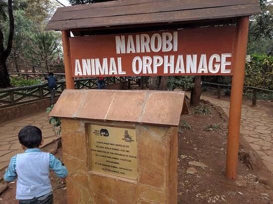 Kenia Nairobi  Orfanato de animales de Nairobi Orfanato de animales de Nairobi Nairobi - Nairobi  - Kenia