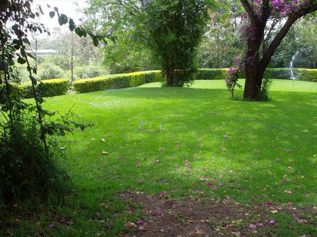 Kenia Nairobi  Jardines Botánicos de Nairobi Jardines Botánicos de Nairobi Kenia - Nairobi  - Kenia