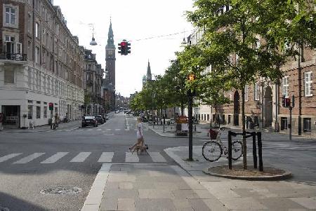 Frederiksberg Alle Street