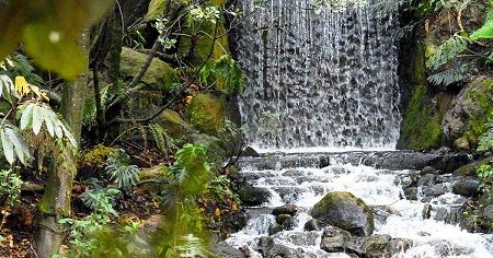 Colombia Bogotá Jardín Botánico José Celestino Mutis Jardín Botánico José Celestino Mutis Bogotá - Bogotá - Colombia