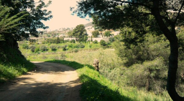 España Benalmádena Parque Rústico Casablanca Parque Rústico Casablanca Benalmádena - Benalmádena - España