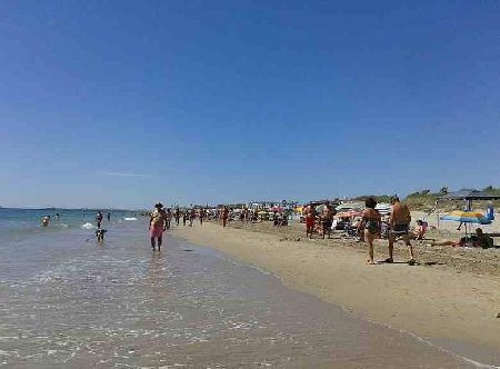 Pilar De La Horadada