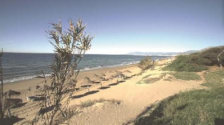 Playa del Alicate