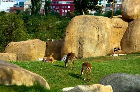 Zoological Garden of Valencia