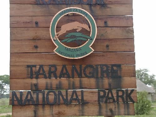 Tanzania  Tarangire National Park Tarangire National Park Tanzania -  - Tanzania