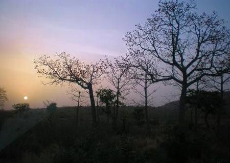 Bamako 