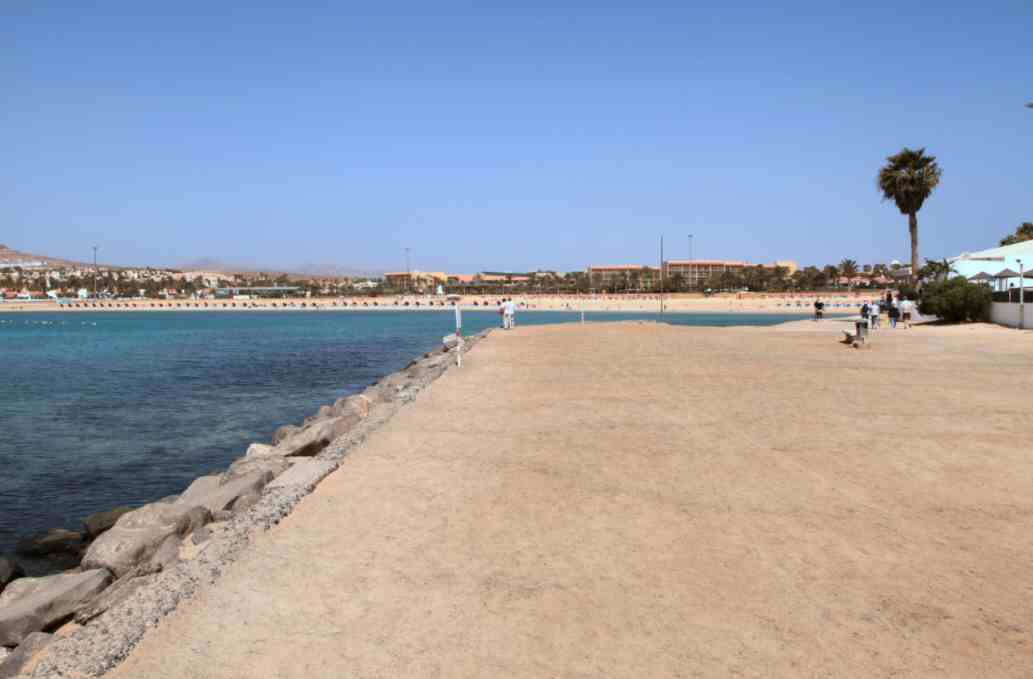 España  Caleta de Fuste Caleta de Fuste Fuerteventura -  - España