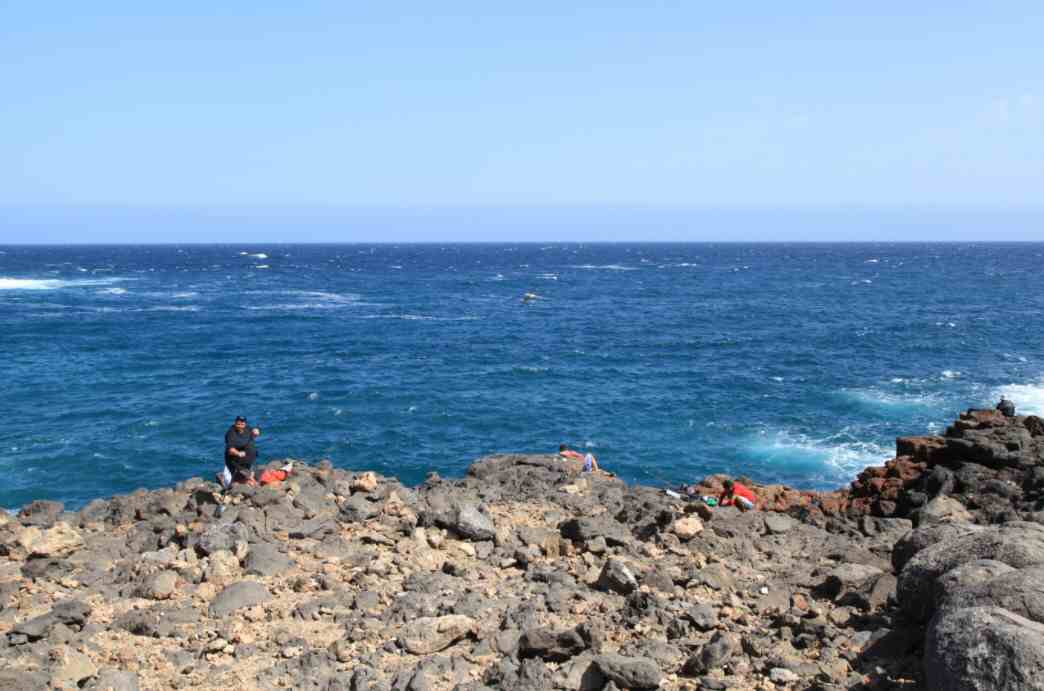 España  Caleta de Fuste Caleta de Fuste Fuerteventura -  - España