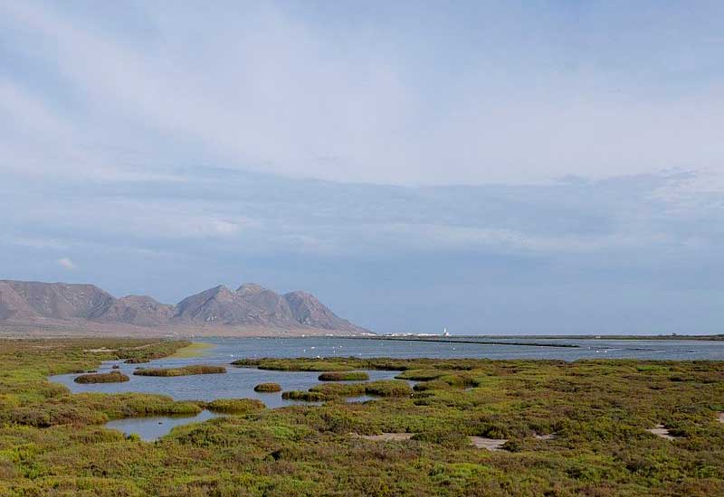 España  Las Salines Las Salines Ibiza -  - España