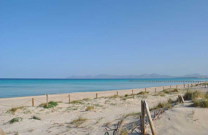 España  Platja de Muro Platja de Muro Mallorca -  - España