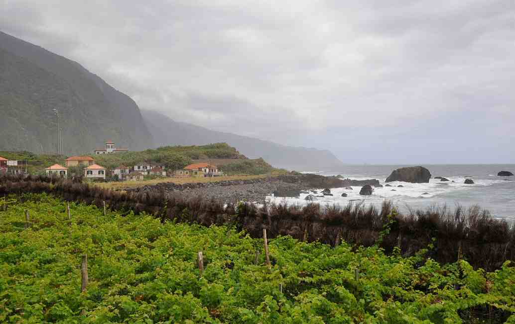 Portugal  São Vicente São Vicente  ساو فيسينتي -  - Portugal