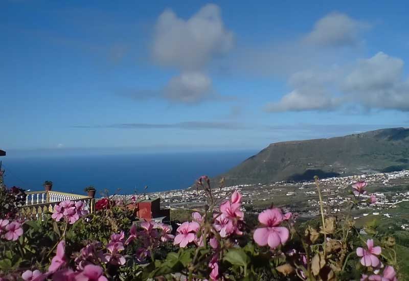 España  Tegueste Tegueste  Tenerife -  - España