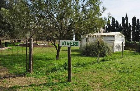 El Vivero