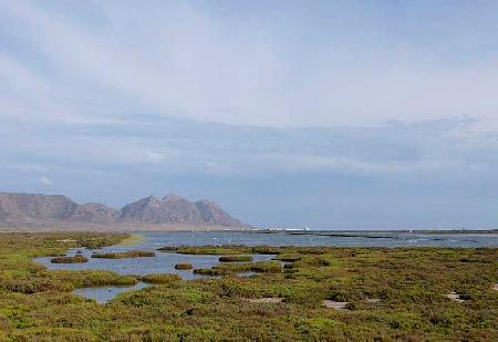 Las Salines