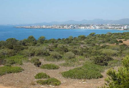 Sant Llorenç Des Cardassar 