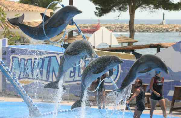 Spain Calvia Marineland Dolphinarium Marineland Dolphinarium Mallorca - Calvia - Spain