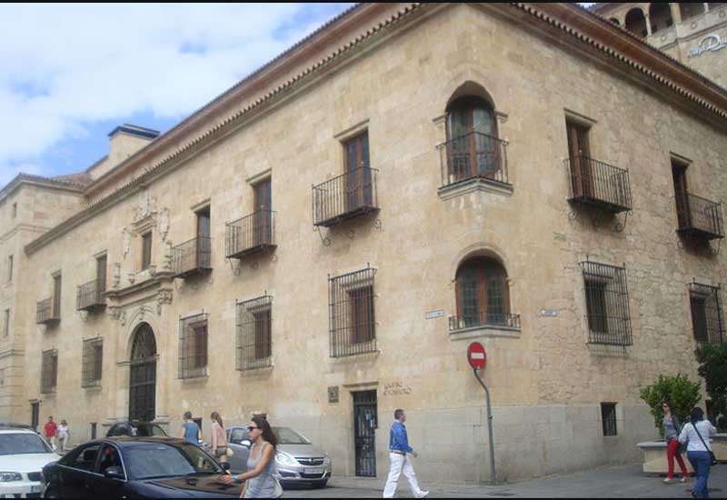 Spain Salamanca Garci-Grande Palace Garci-Grande Palace Salamanca - Salamanca - Spain