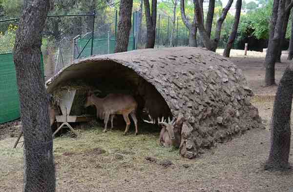 España Guadalajara  El zoológico de Guadalajara El zoológico de Guadalajara Guadalajara - Guadalajara  - España