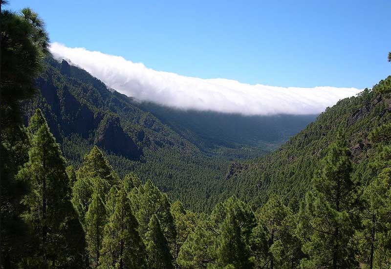 España Santa Cruz De Tenerife  Masca Valley Masca Valley Islas Canarias - Santa Cruz De Tenerife  - España