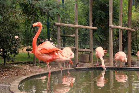 El zoológico de Santillana Del Mar